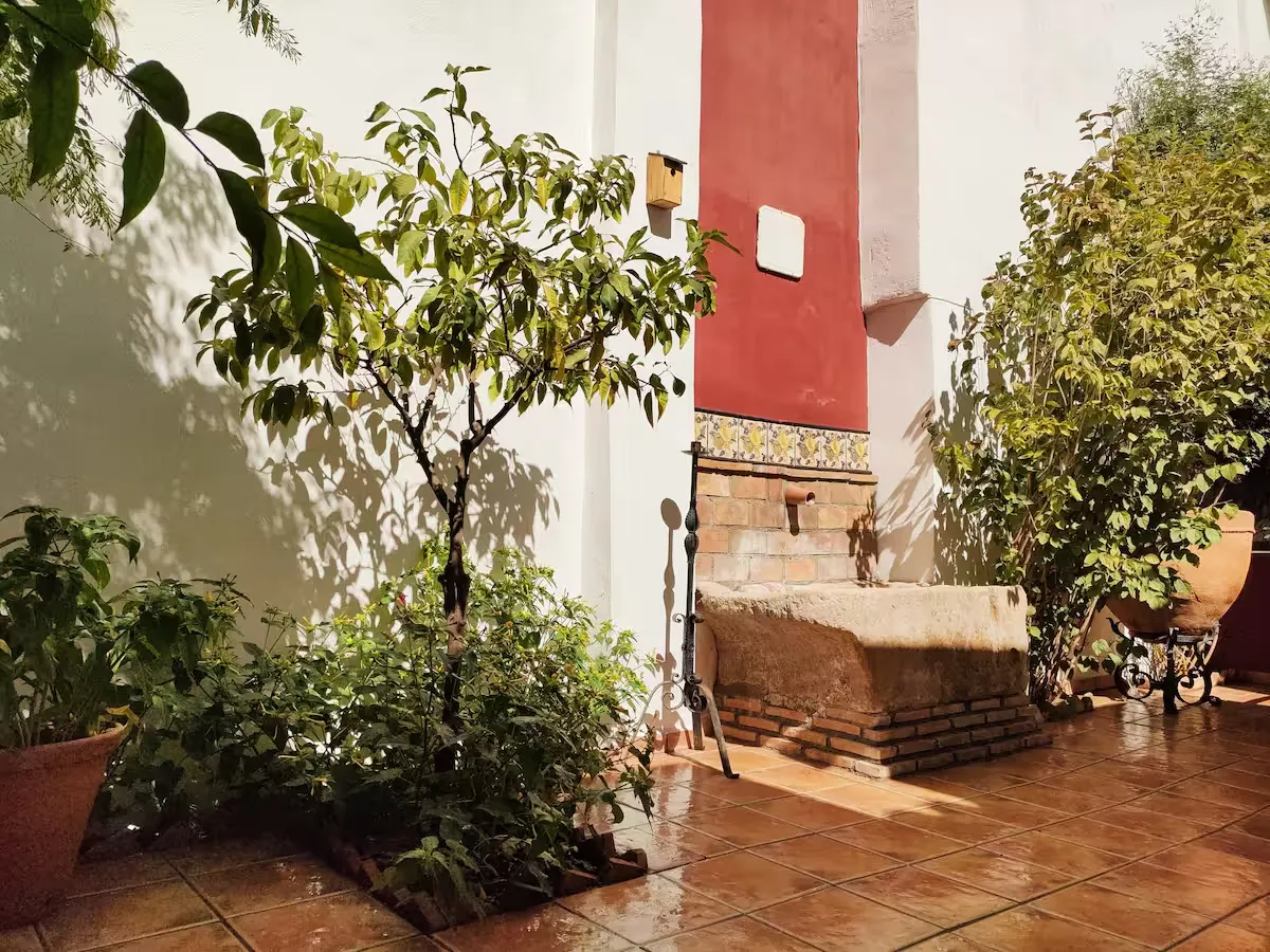 Apartamentos de alquiler en granada